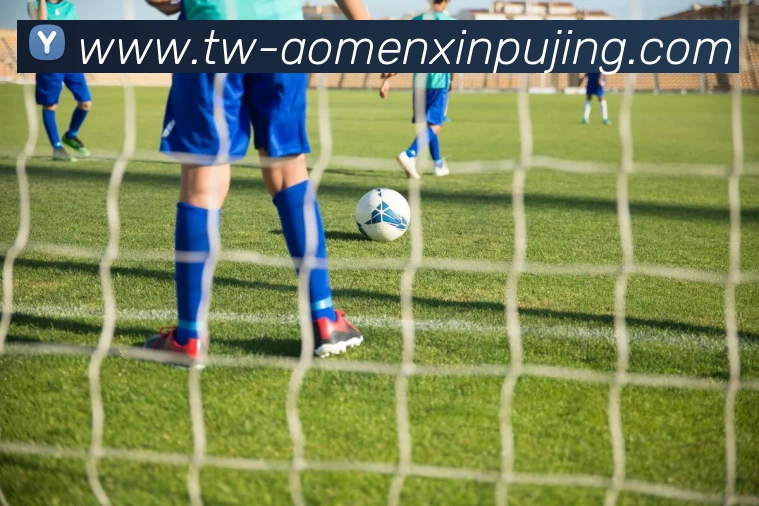 多媒体互动体验